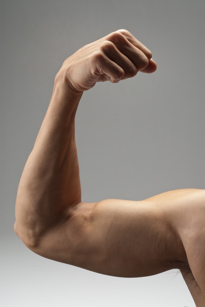 Close-up of a flexed bicep muscle against a grey background.